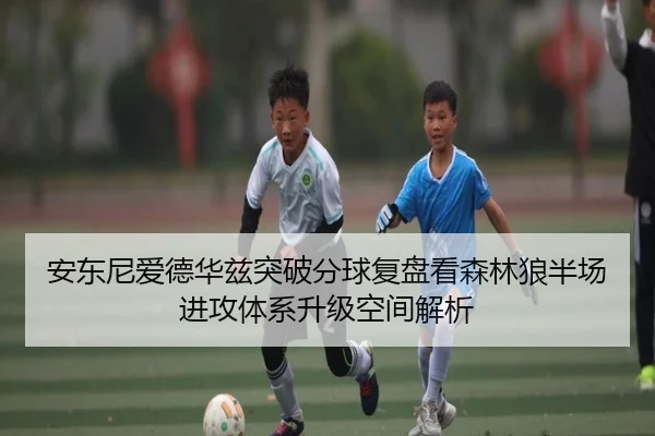 安东尼爱德华兹突破分球复盘看森林狼半场进攻体系升级空间解析