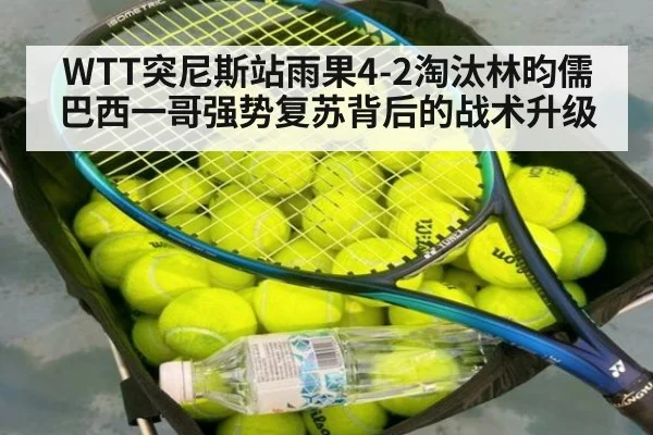 WTT突尼斯站雨果4-2淘汰林昀儒 巴西一哥强势复苏背后的战术升级