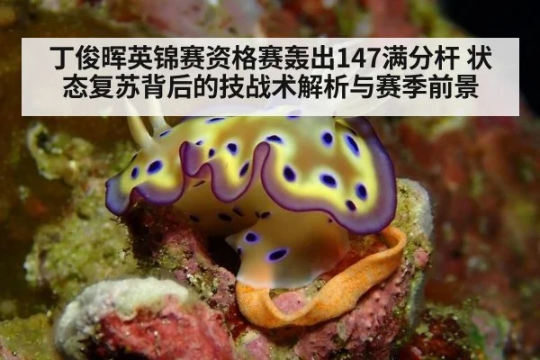 丁俊晖英锦赛资格赛轰出147满分杆 状态复苏背后的技战术解析与赛季前景
